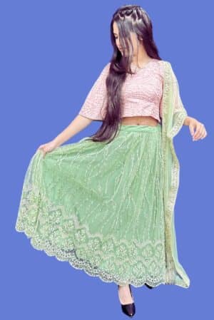 Lehenga Blouse with Dupatta Made with Net and Crepe 2