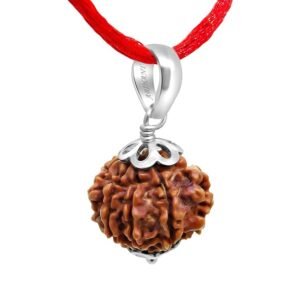 Arihant Gems and Jewels® 7 Mukhi Nepali Rudraksha with 925 Silver Pendant 1